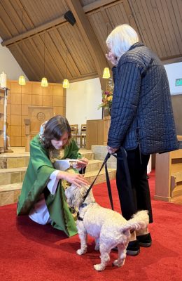 dog blessing
